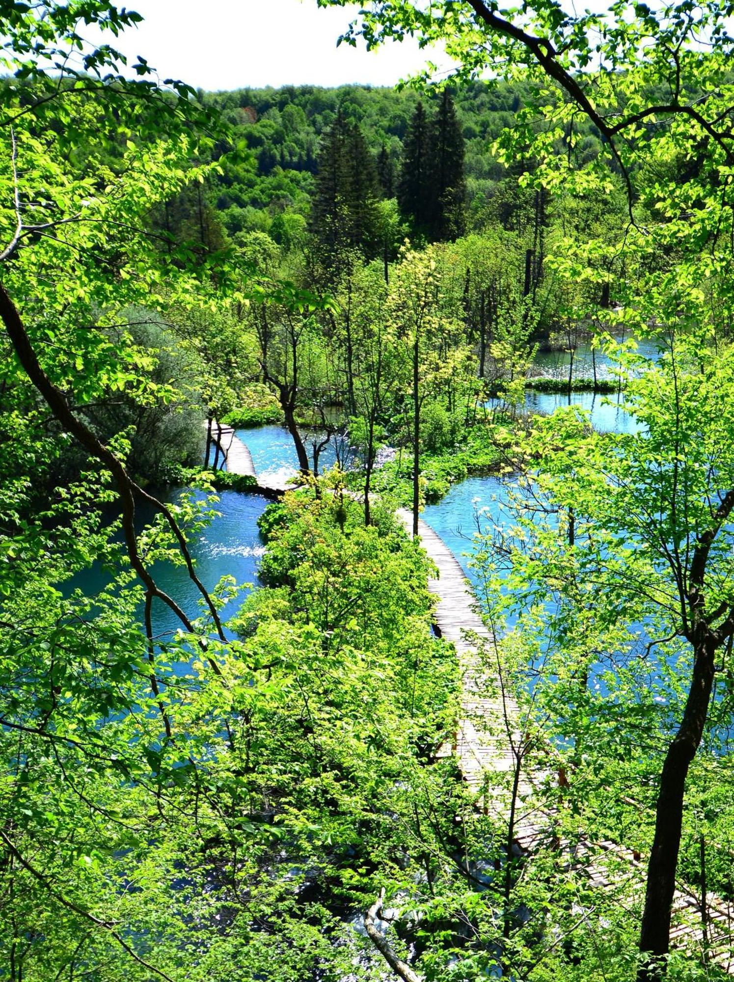House Janja Plitvice Otel Seliste Dreznicko Dış mekan fotoğraf